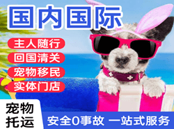 阿鲁科尔沁空运公司国际宠物托运 【国